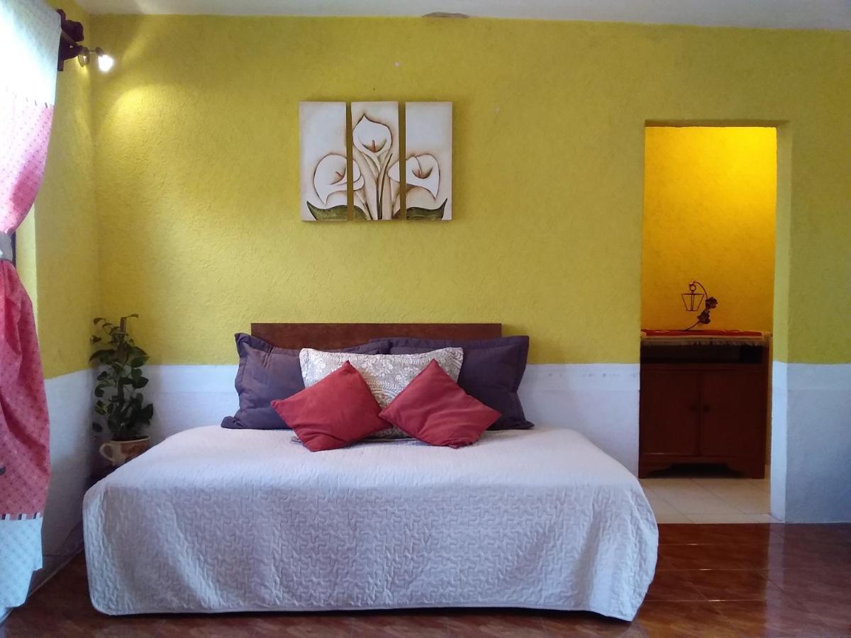 Casa De La Palma Marfil * Guanajuato